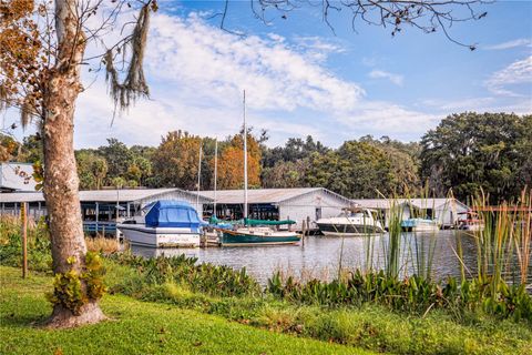 A home in MOUNT DORA