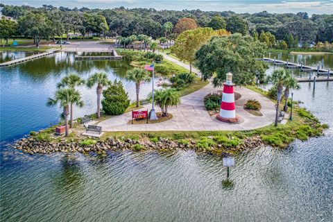 A home in MOUNT DORA