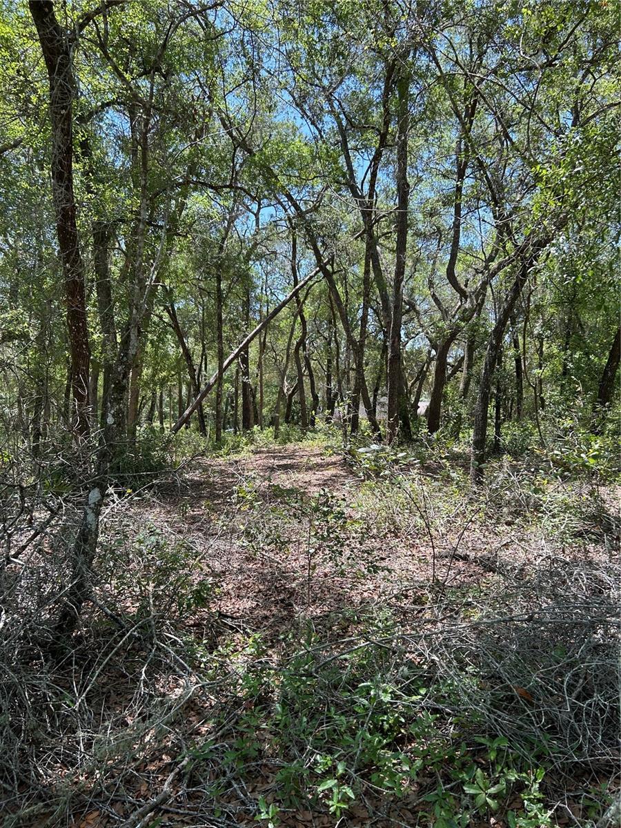 LAND-O-LKS ESTATES SEC E - Land