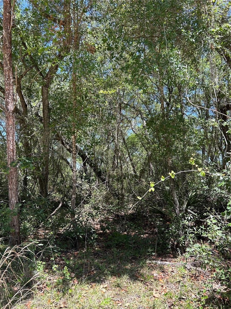 LAND-O-LKS ESTATES SEC E - Land