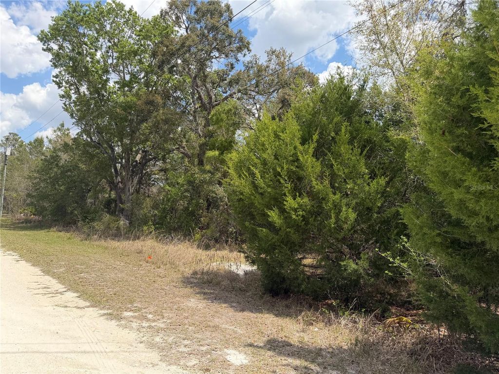 Photo of 0 Bastian Court, Weeki Wachee, FL 34613 (MLS # W7885139)