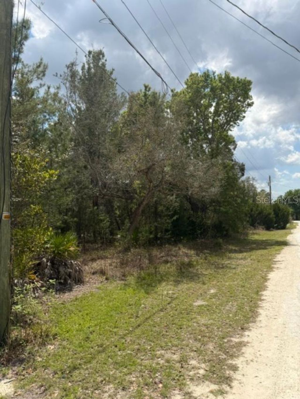 Photo of 0 Bastian Court, Weeki Wachee, FL 34613 (MLS # W7885139)