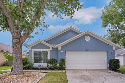 4217 KINGBIRD COURT ORLANDO FL 32826