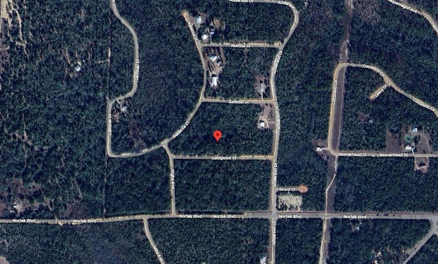 Build your dream home on this beautiful 0.88-acre vacant lot located in the peaceful Compass Lake in the Hills community of Alford, FL. Enjoy a serene, rural setting while still being close to shopping, dining, and major routes. This property offers endless possibilities for custom construction, a manufactured home, or a weekend getaway. Perfect for those seeking privacy, nature, and a quiet lifestyle. Utilities and road access are nearby—bring your vision and make it yours! For directional purposes only use 3024 NORTEK BLVD, ALFORD, FL 32420