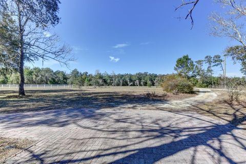 A home in DE LEON SPRINGS