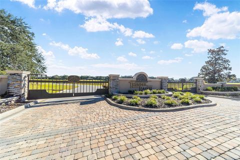 Tiny photo for 4845 NE 111th Lane Road, Anthony, FL 32617 (MLS # OM713314)