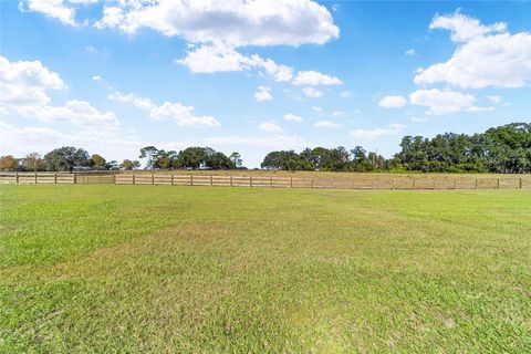 Tiny photo for 4845 NE 111th Lane Road, Anthony, FL 32617 (MLS # OM713314)