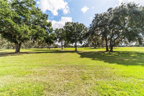 Tiny photo for 4845 NE 111th Lane Road, Anthony, FL 32617 (MLS # OM713314)