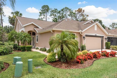 Photo of 9609 Brookdale Drive, New Port Richey, FL 34655 (MLS # TB8400654)