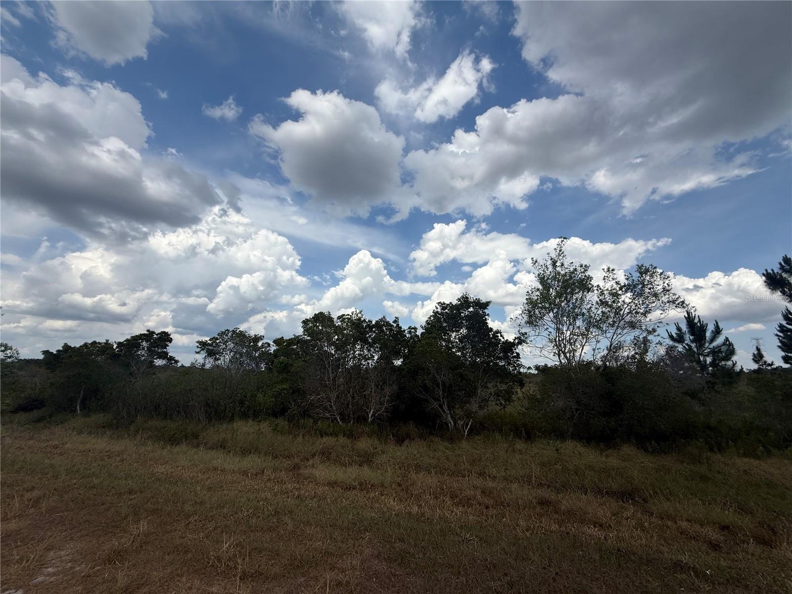 AVON PARK ESTATE - Land