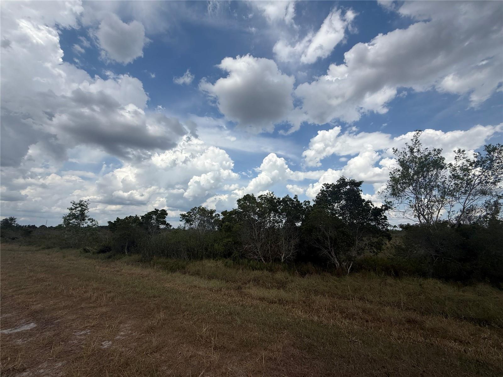 AVON PARK ESTATE - Land