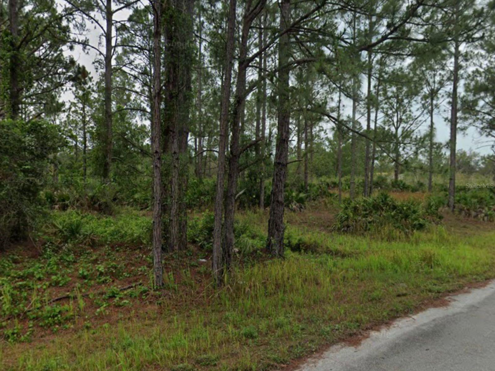 Build your dream home in the desirable community of Sun ’n Lake of Sebring! This residential lot offers 0.23 acres (10,000 sq ft) with paved road frontage and access to public water and electricity nearby (septic required). Located just minutes from Sebring International Raceway, golf courses, medical centers, schools, and shopping. Sun ’n Lake features community amenities including golf courses, clubhouse, recreation areas, and parks. Enjoy Florida living in a growing area surrounded by nature, lakes, and year-round activities. Don’t miss this opportunity to own land in one of Sebring’s most established communities!