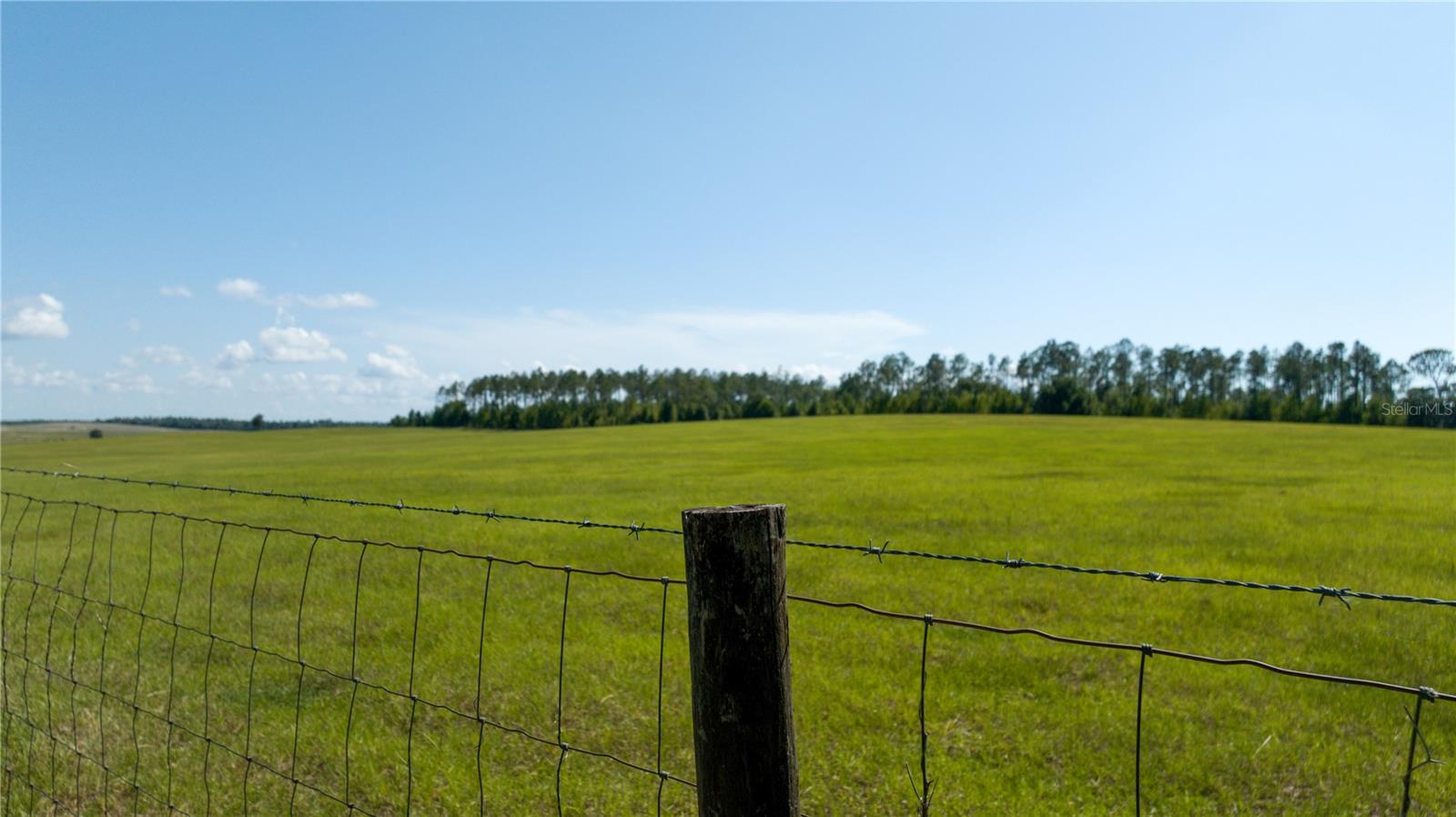 This stunning property in Marion County, Florida, offers a serene countryside setting with remarkable views and privacy. Spanning 161+/- acres in the sought-after Romeo community, this estate presents a unique opportunity for discerning buyers. The rolling hills and lush pastureland provide multiple locations to building a dream home. Currently used for cattle grazing, the property is meticulously maintained with perimeter and cross fencing to ensure the safety of livestock. A well- stocked pond adds to the property's appeal, and paved access from both the front and rear allows for convenient entry and exit. Currently benefiting from agricultural exemption status, the land has a history of successful use for cattle ranching, hay production, and row crop farming. Its prime location, just a short distance from the World Equestrian Center(18 miles), HITS(17 miles), and Dunnellon(11 miles), further enhances its desirability. Whether you are looking for a private retreat, a working farm, or an investment opportunity, this property offers a wealth of possibilities. Come explore this exceptional estate and envision the exciting future it could hold for you.