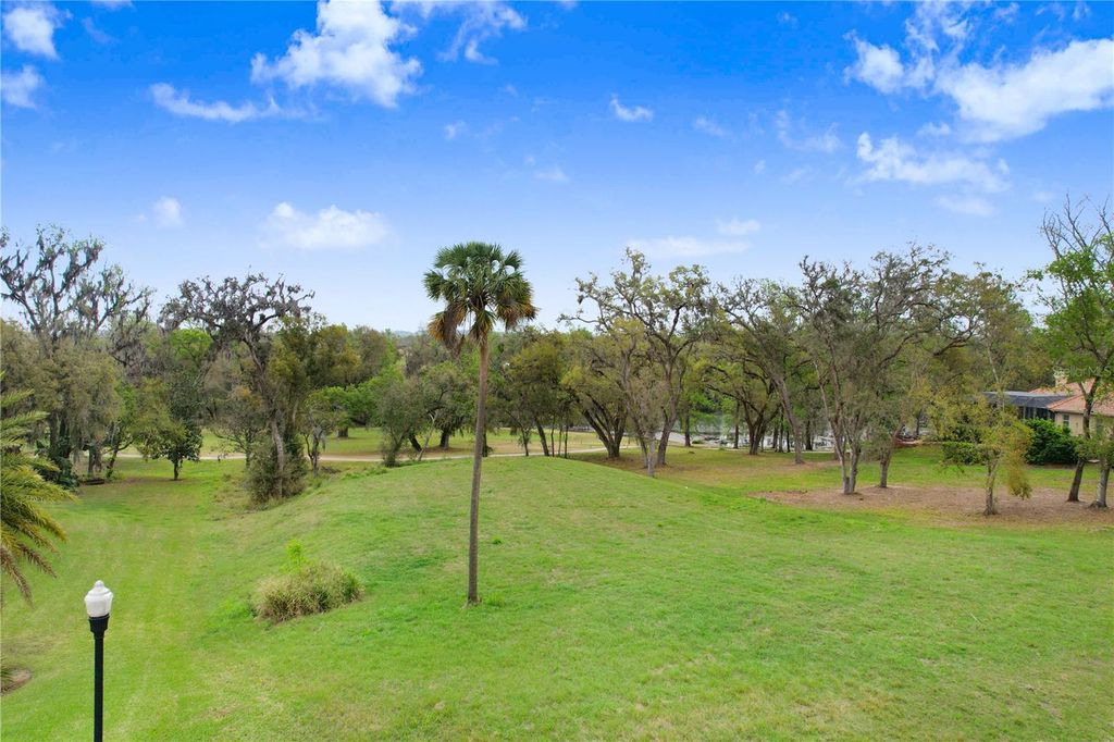 Photo of 13619 Carnoustie Circle, Dade City, FL 33525 (MLS # TB8470951)