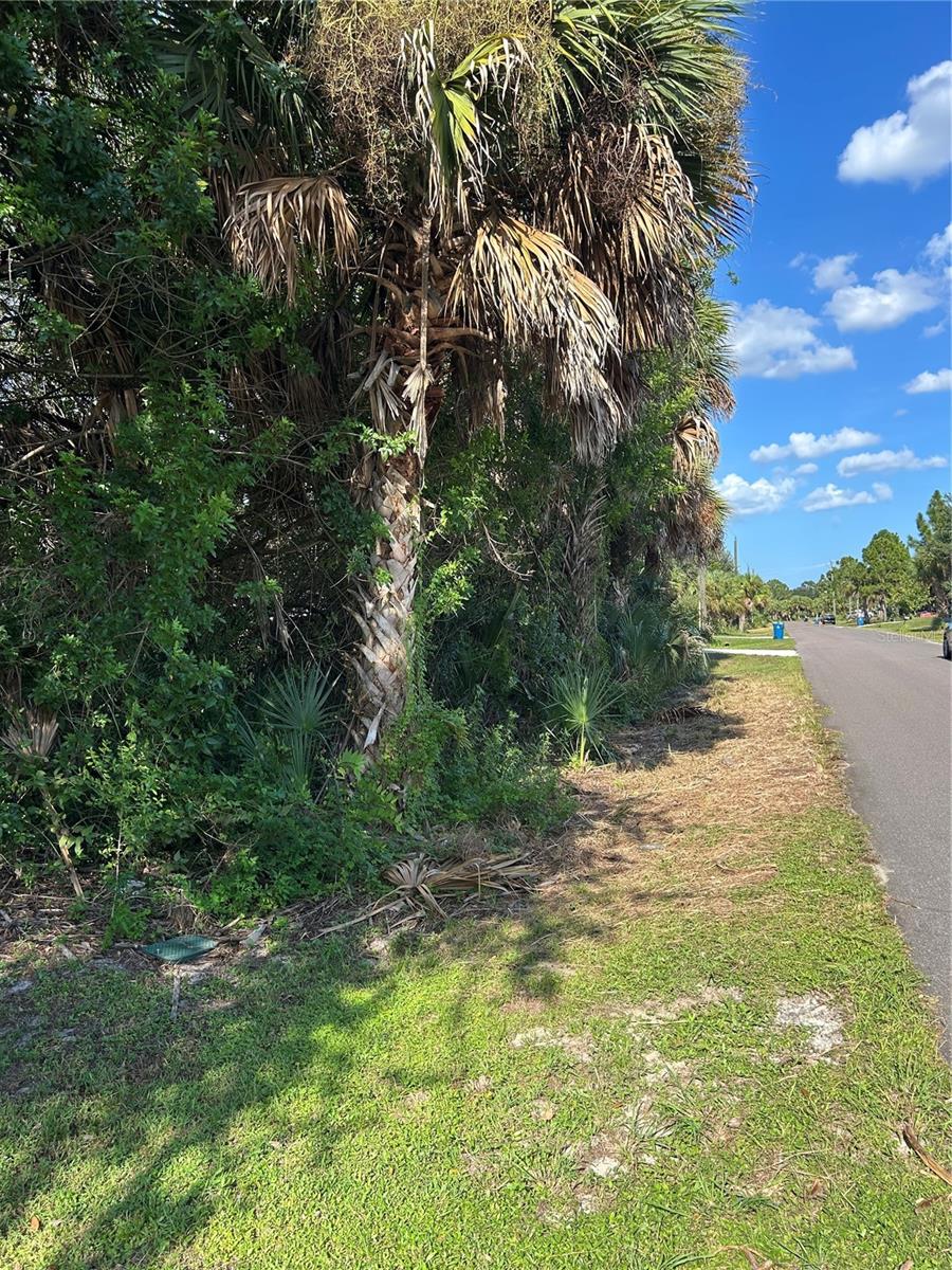 171 LAGOON STREET SW