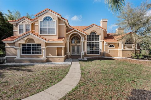 A home in ORLANDO