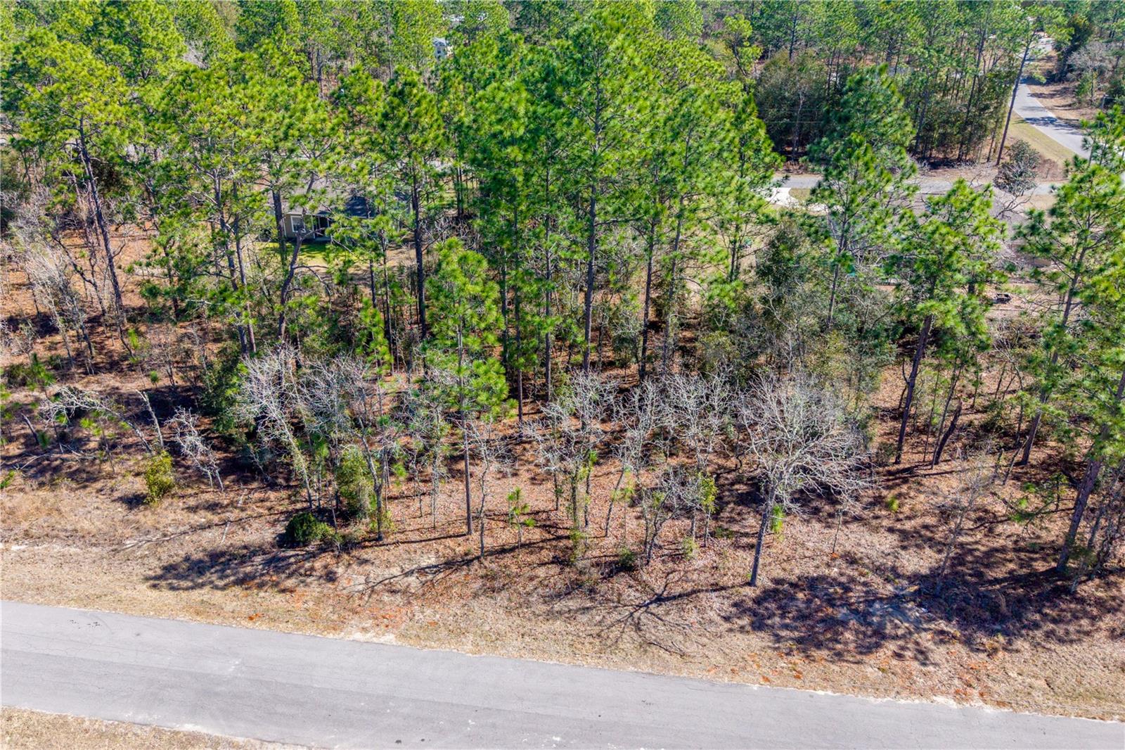 WILLISTON HYLNDS GOLF & C CLUB ESTATE - Land