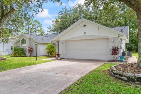 A home in PALM COAST