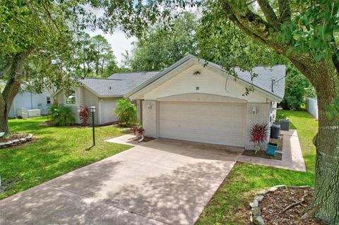 A home in PALM COAST