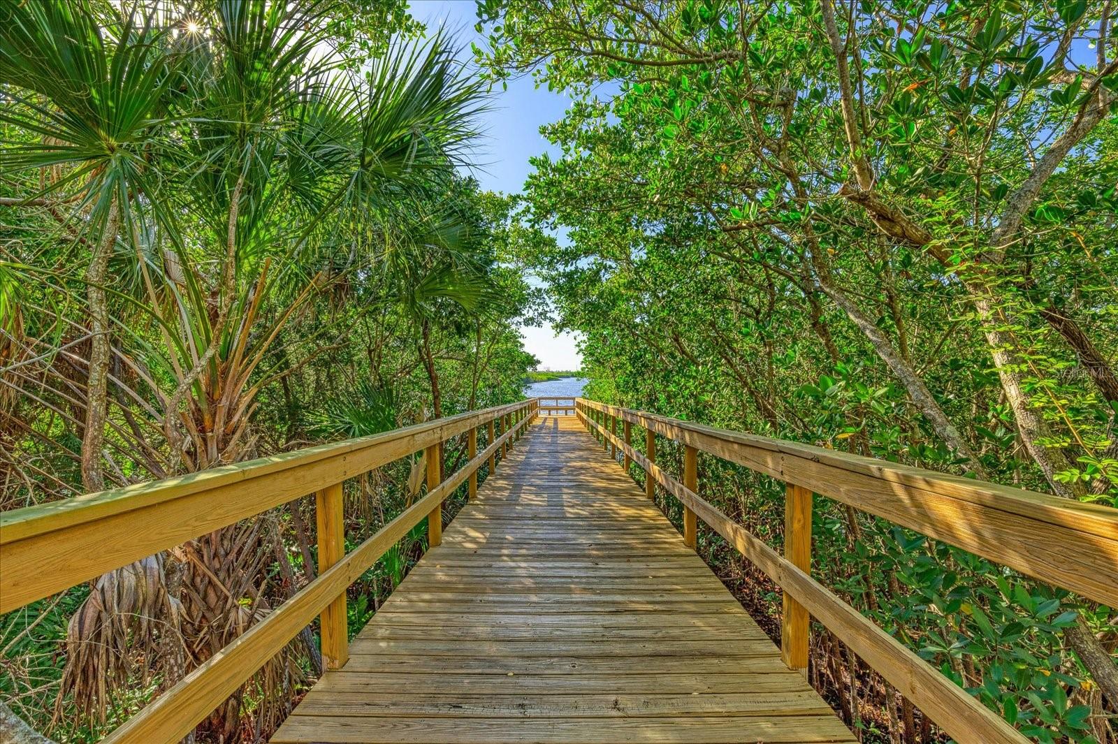 WATERLEFE - Residential