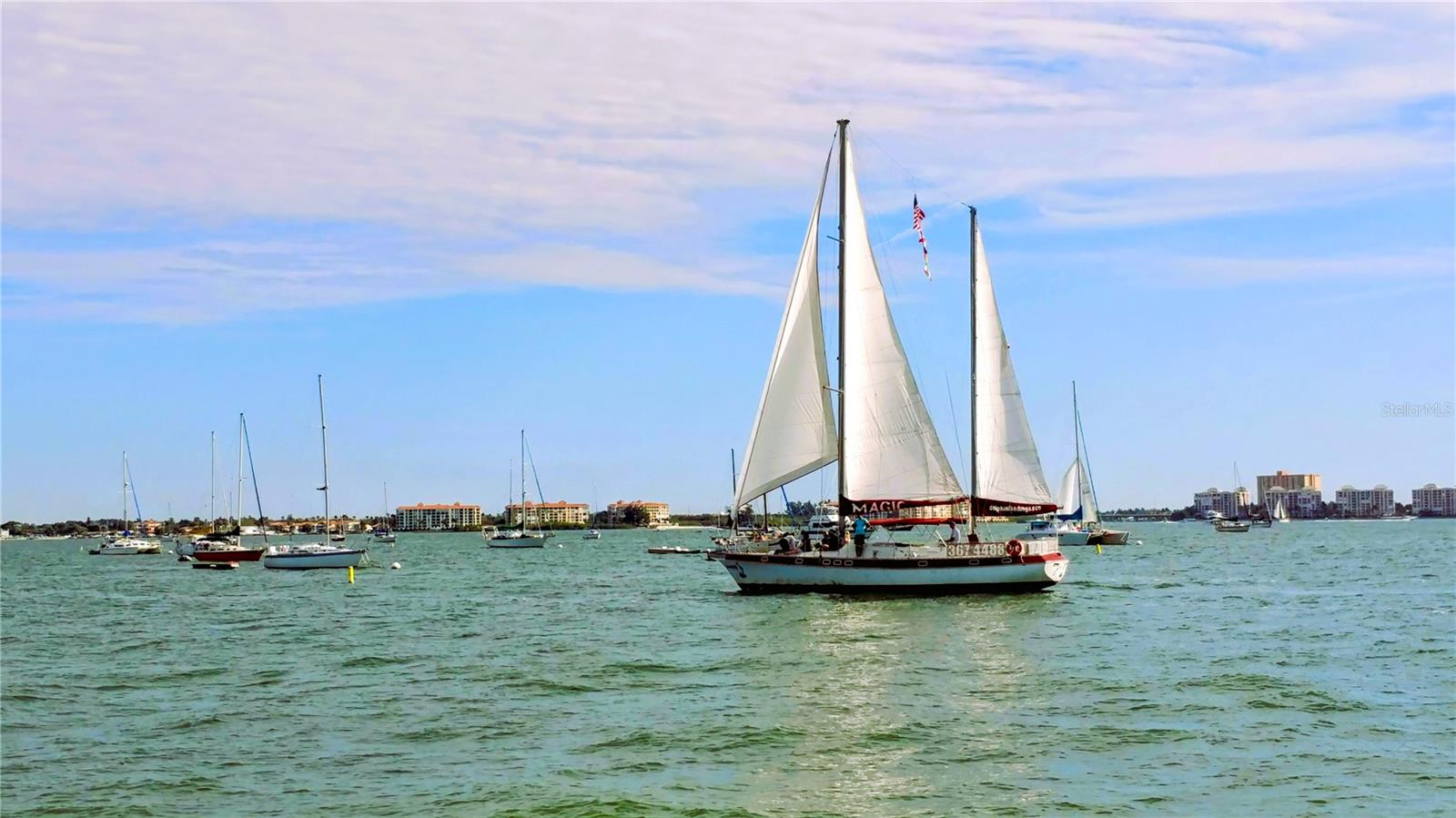 TOWN SHORES OF GULFPORT - Residential