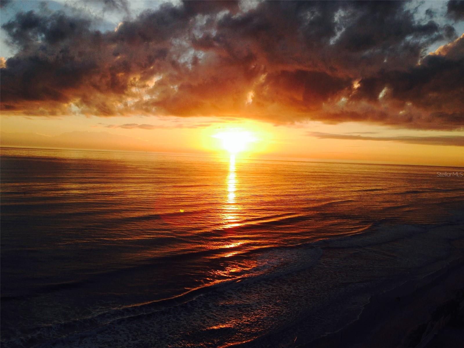 OCEAN RITZ DAYTONA - Residential Lease