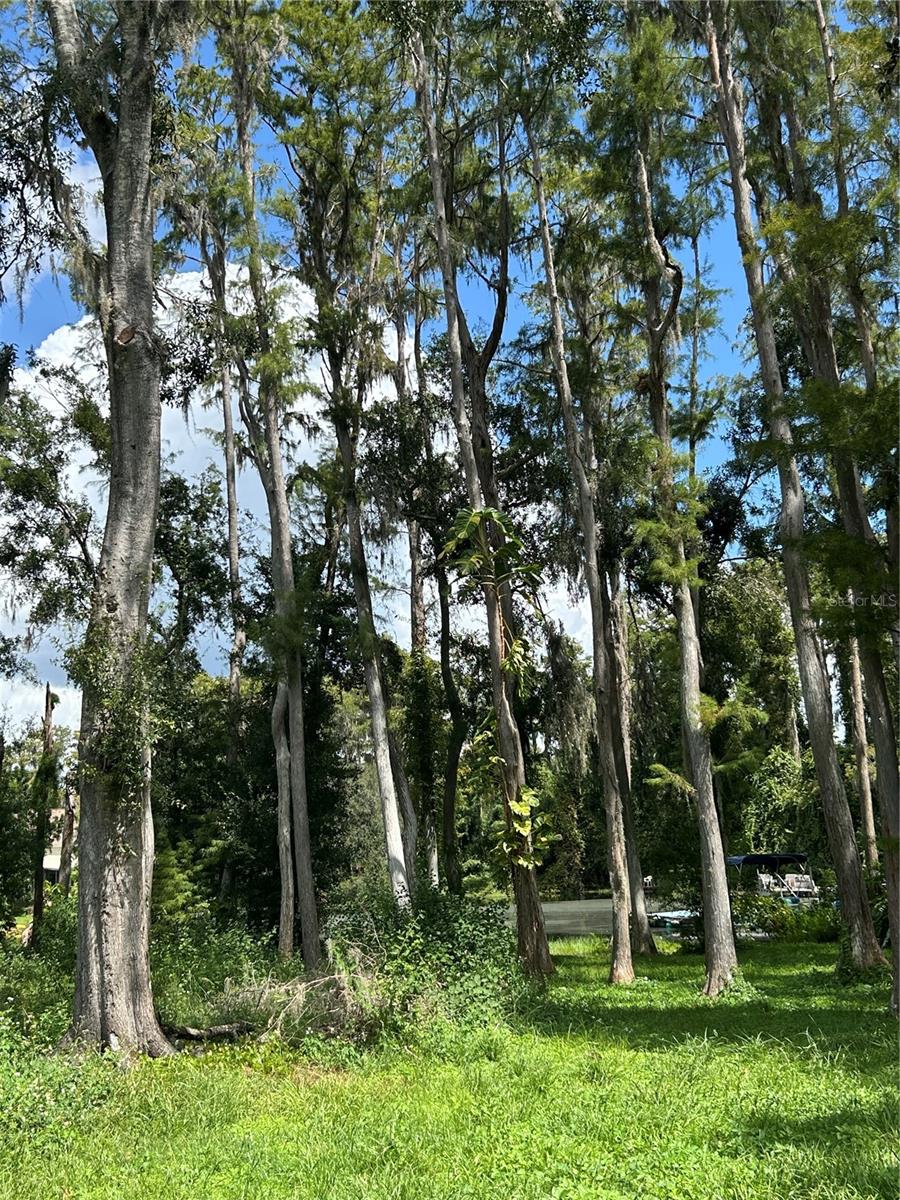 MOON LAKE ESTATES - Land