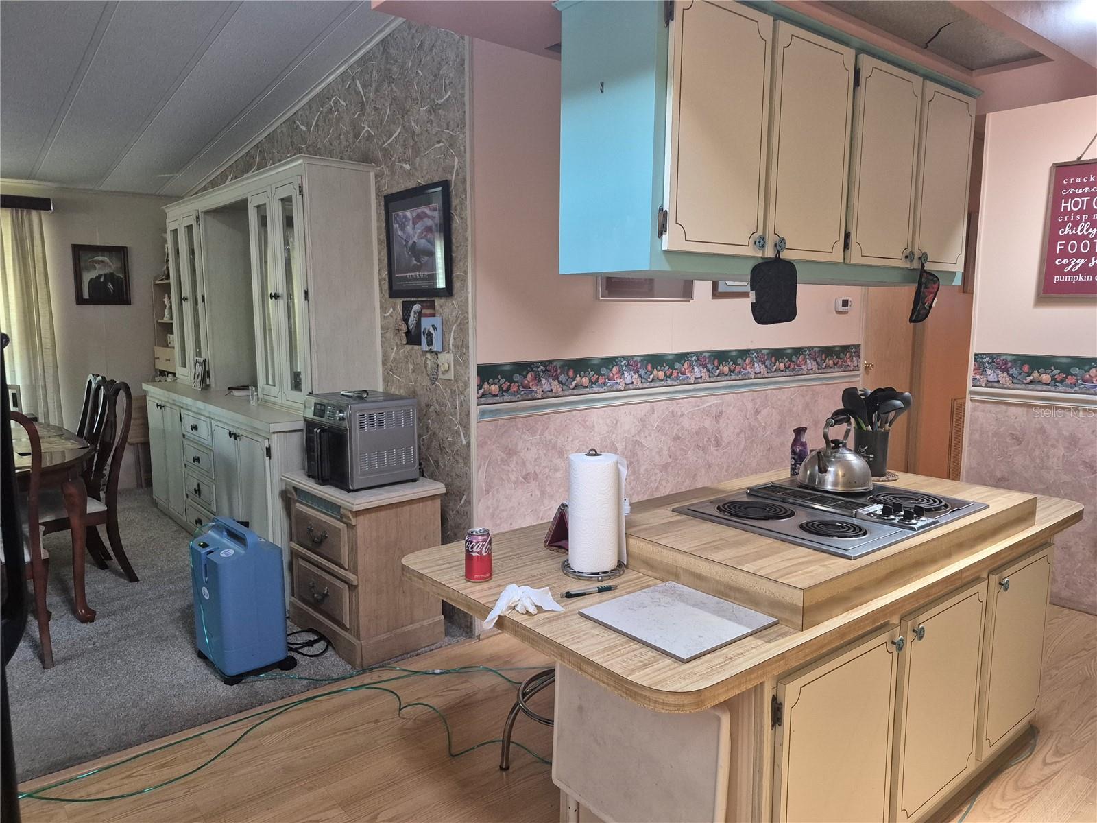 TAVARES FOX RUN MOBILE HOME - Residential