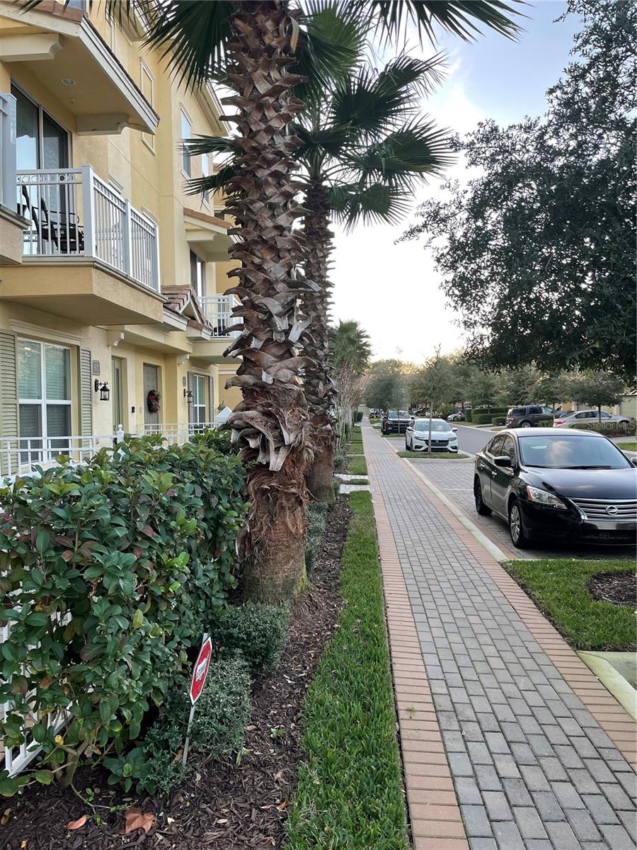 GRANDE OAKS AT HEATHROW - Residential Lease