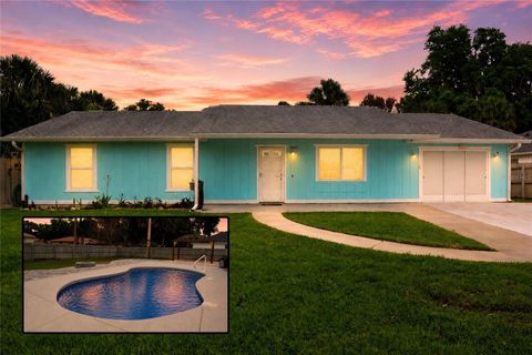 Photo of 1313 Queen Palm Drive, Edgewater, FL 32132 (MLS # FC318451)