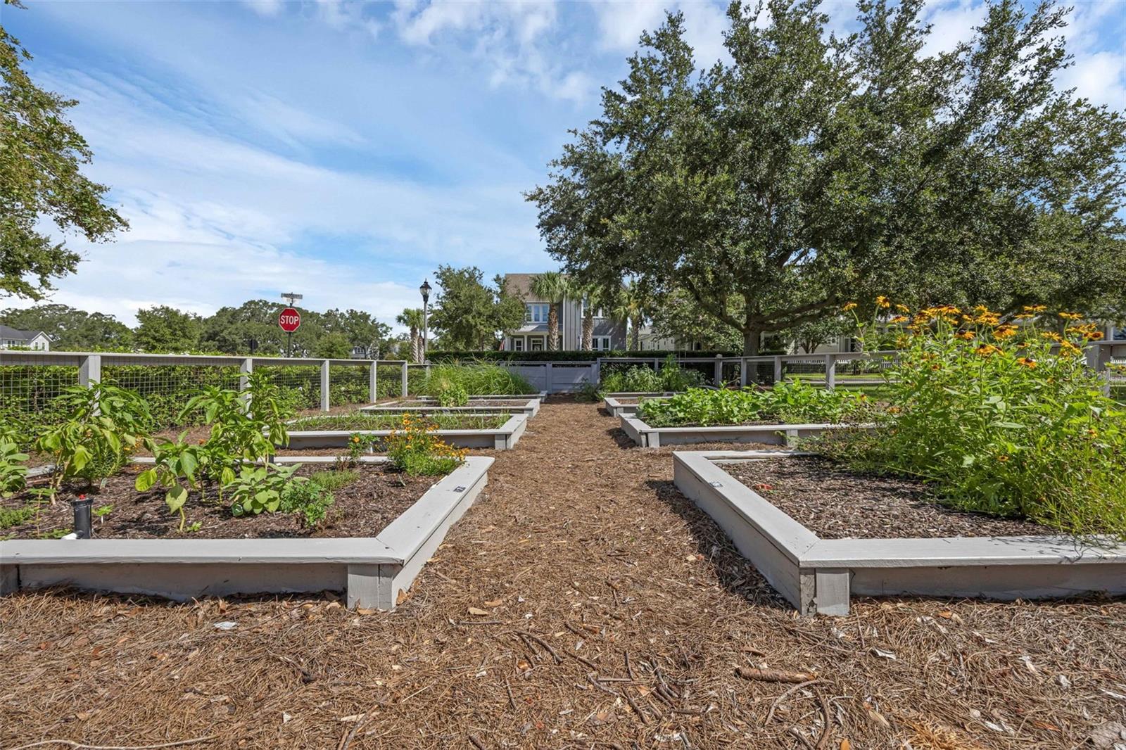 OAKLAND PARK - Residential