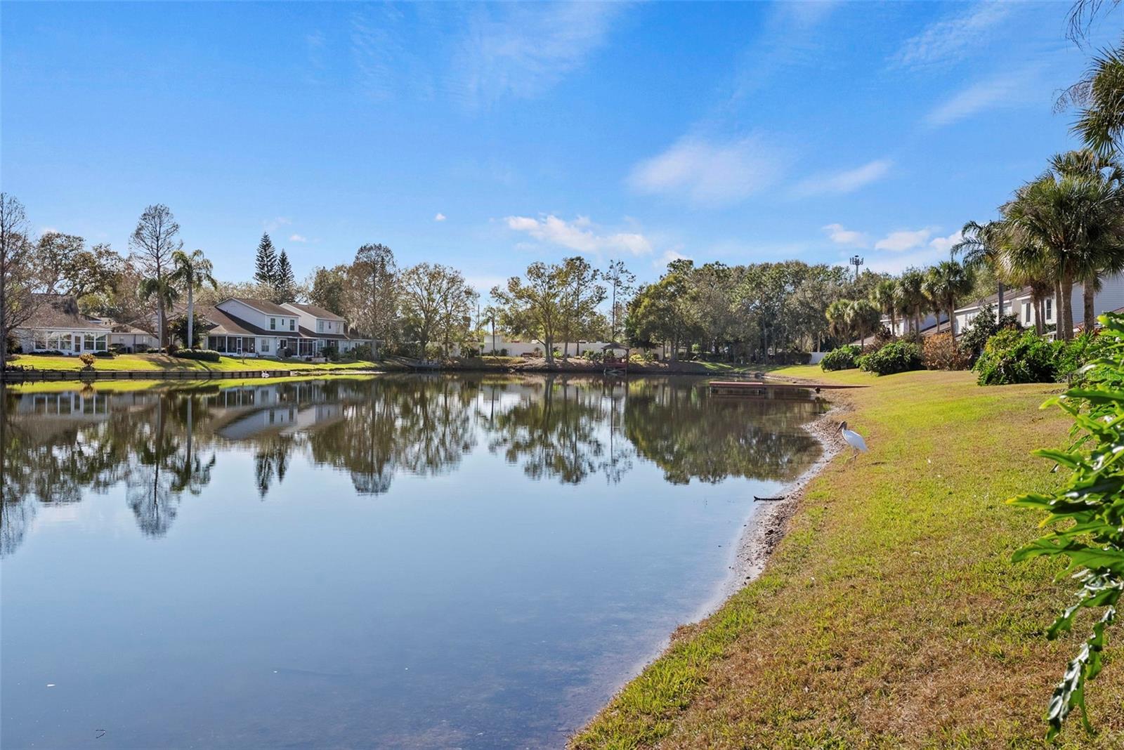 LAKE HERON - Residential