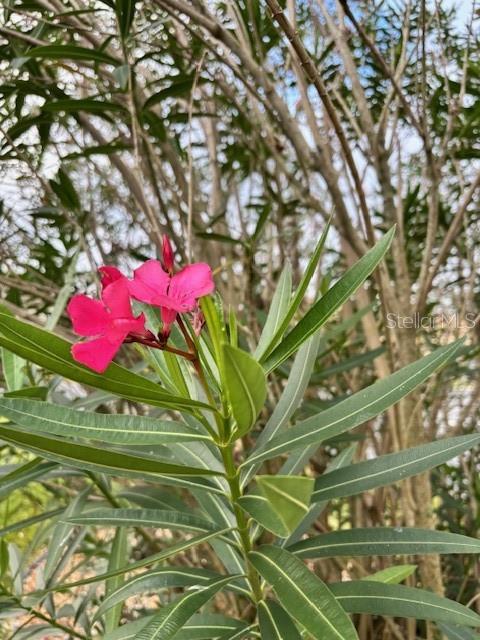 SPRUCE CREEK GC - Residential