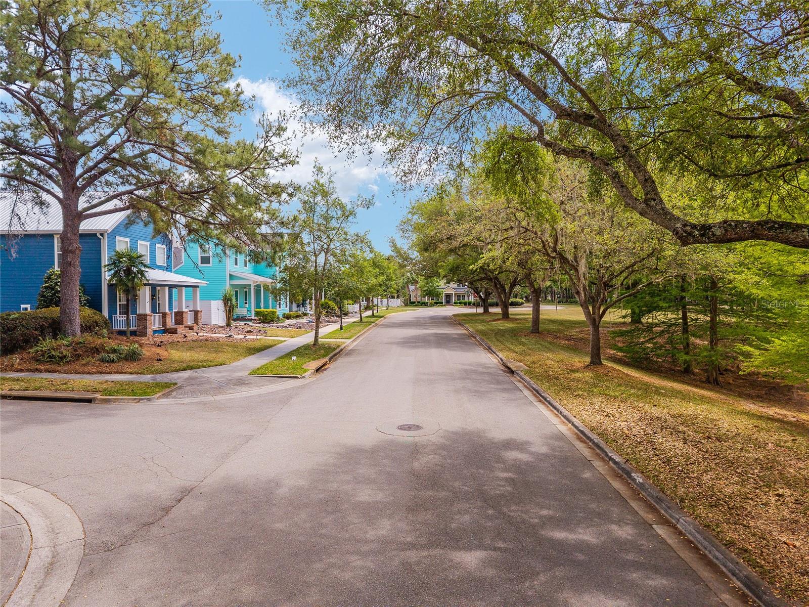 TOWN OF TIOGA PH 3 - Residential