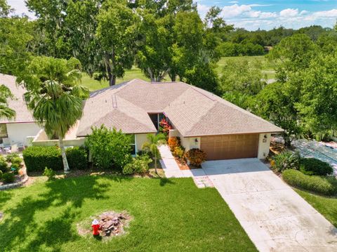 A home in HAINES CITY