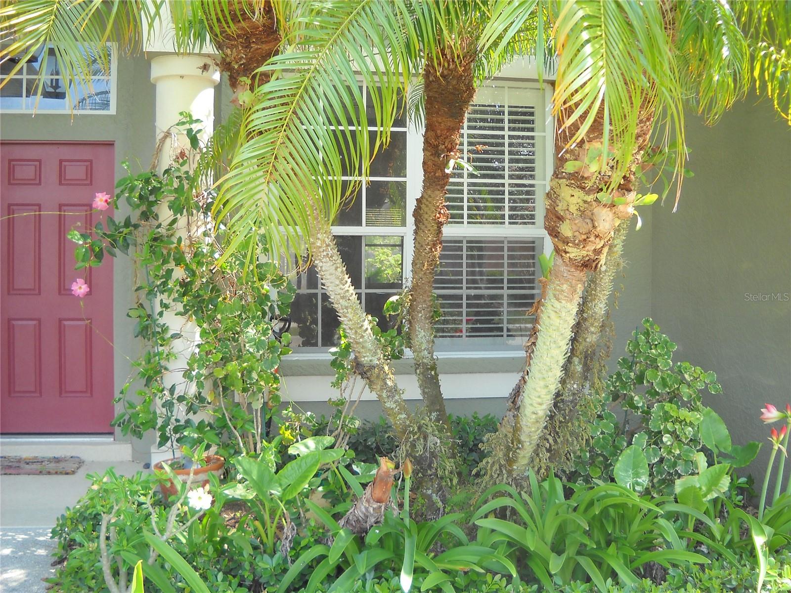 315 LONDONDERRY DRIVE