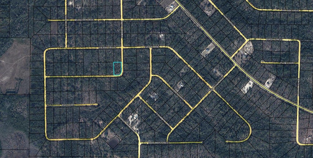 Photo of Tbd Tamarac Road, Marianna, FL 32448 (MLS # OM731172)