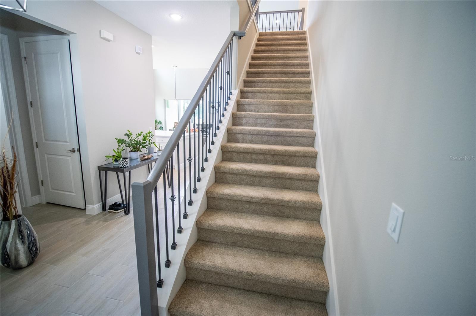 WESLYN PARK - Residential