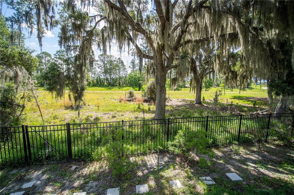 Photo of 6236 Trailblaze Bend, Saint Cloud, FL 34771 (MLS # O6409479)