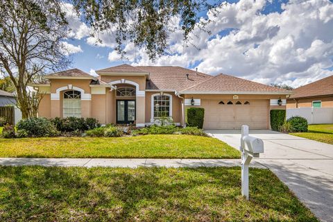 9617 GREENBANK DRIVE RIVERVIEW FL 33569