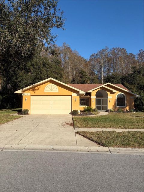 Photo of 1716 Percheron Drive, Trinity, FL 34655 (MLS # TB8461597)