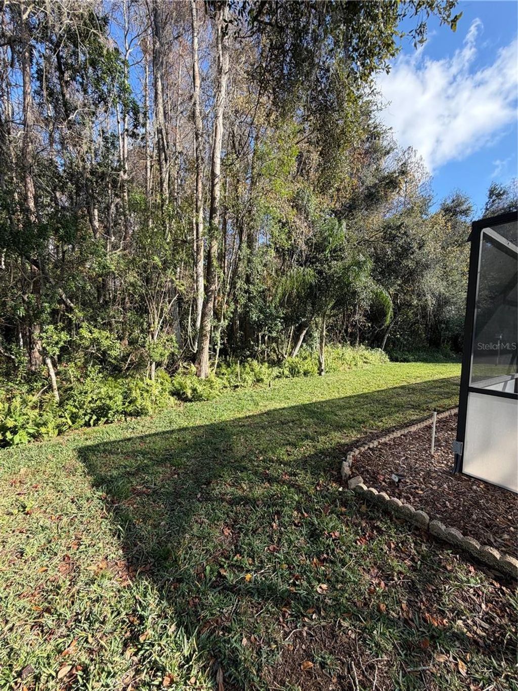 Photo of 1716 Percheron Drive, Trinity, FL 34655 (MLS # TB8461597)