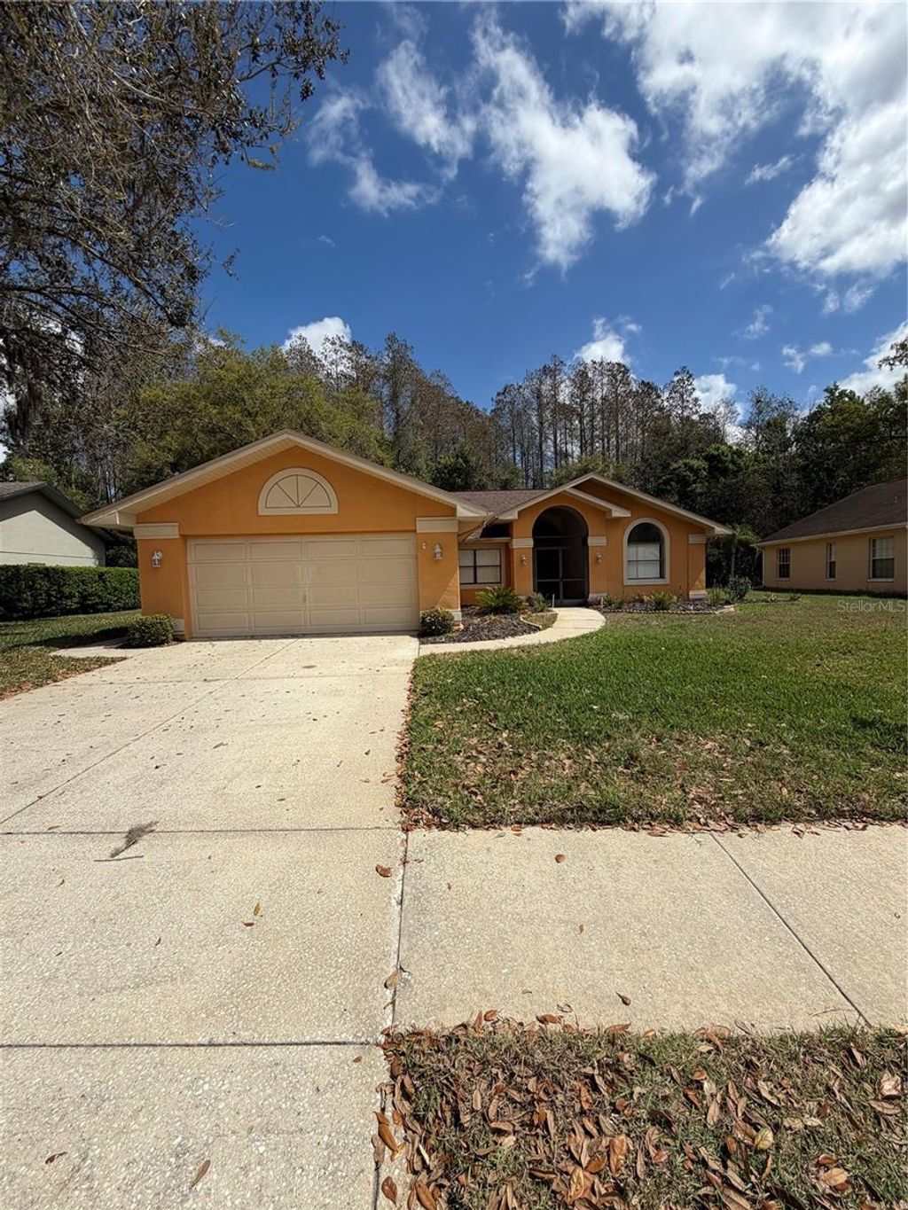 Photo of 1716 Percheron Drive, Trinity, FL 34655 (MLS # TB8461597)