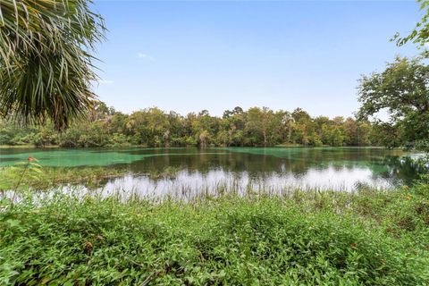 Tiny photo for 7974 SW 181st Circle, Dunnellon, FL 34432 (MLS # OM719014)