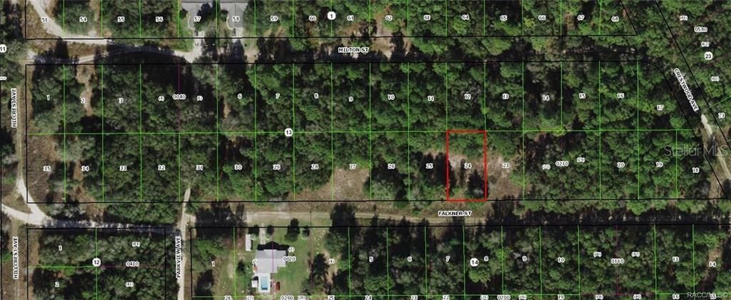Photo of 2110 Falkner Street, Inverness, FL 34453 (MLS # OM680476)