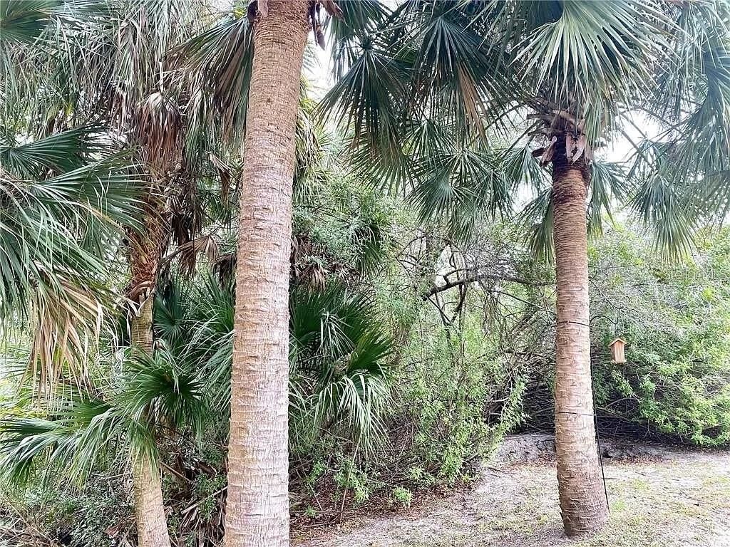 Photo of Arley Road, North Port, FL 34288 (MLS # O6306466)