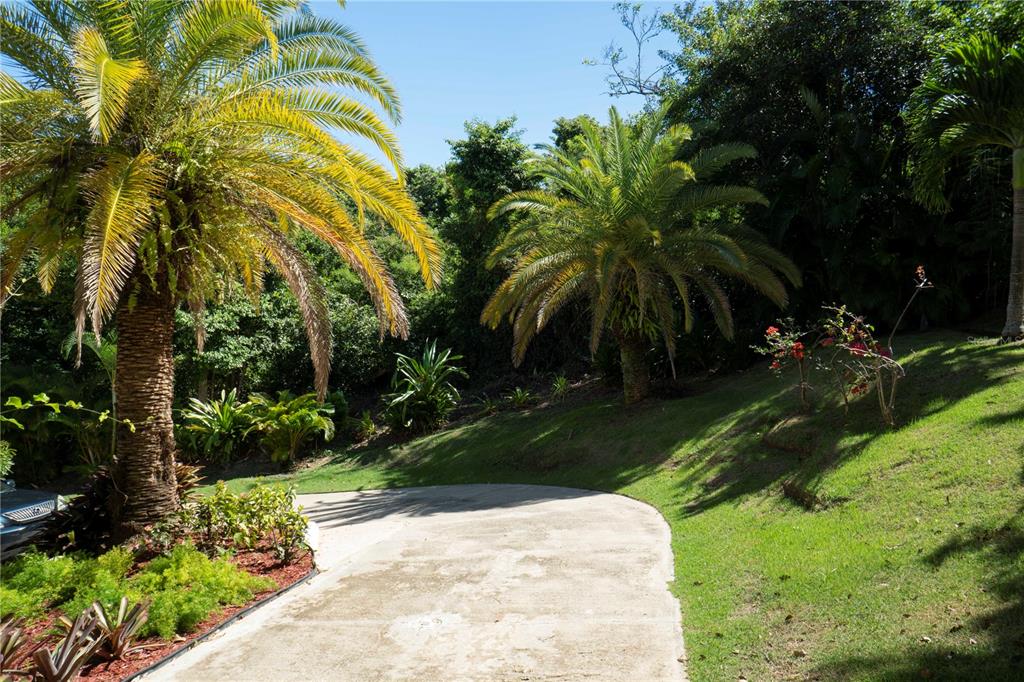 PALMAS DEL MAR,SURFSIDE - Residential