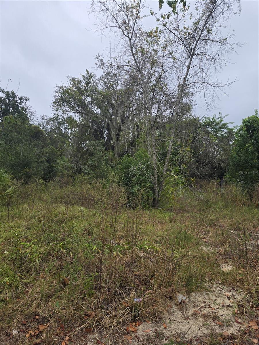 MOON LAKE ESTATES - Land