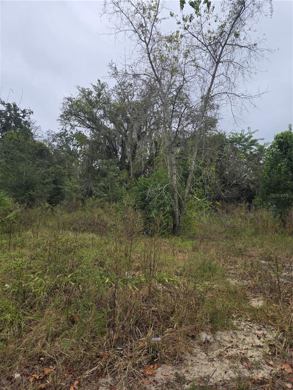 Photo of 10142 Markham Street, New Port Richey, FL 34654 (MLS # TB8453684)