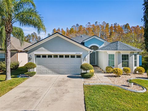 A home in LAND O LAKES